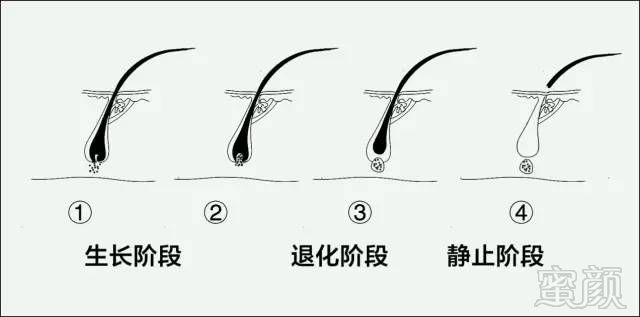 https://img.miyanlife.com/mnt/timg/180607/131QRS3-3.jpg
