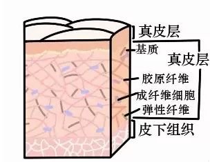 https://img.miyanlife.com/mnt/timg/180608/1104561J4-11.jpg