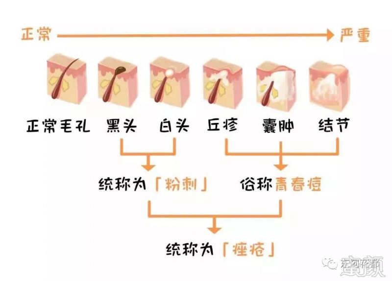 案例图片