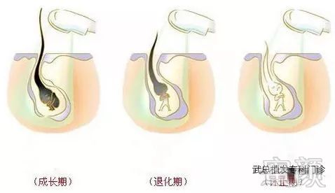 https://img.miyanlife.com/mnt/timg/180608/11213LU1-2.jpg