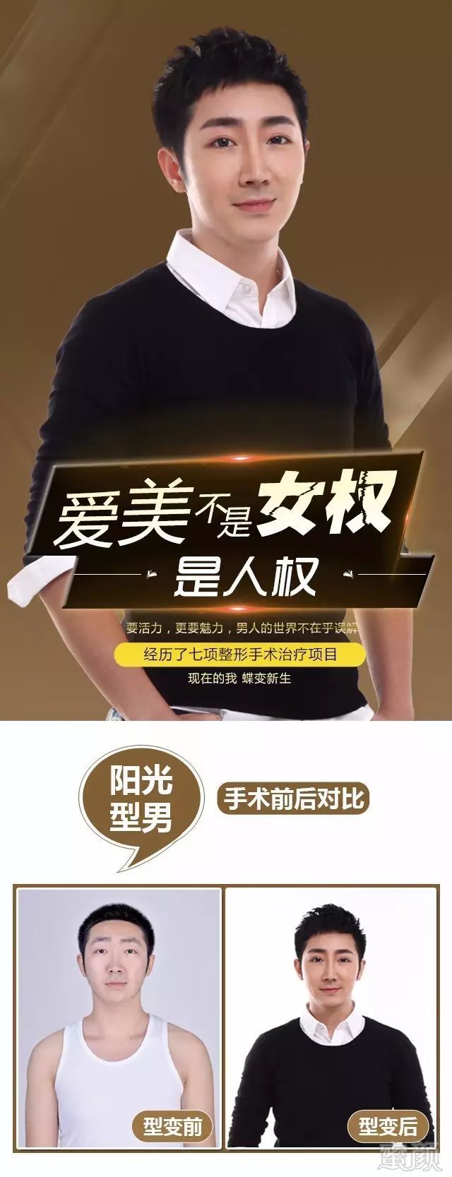 案例图片