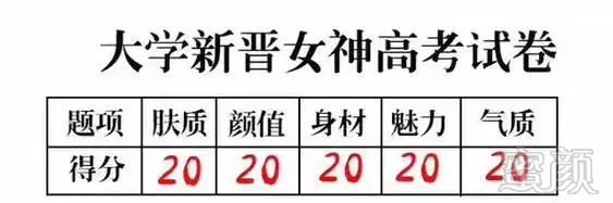 案例图片