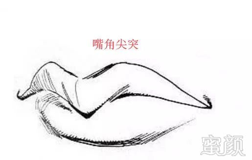 案例图片