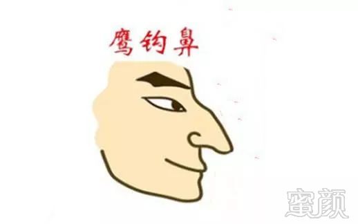 案例图片