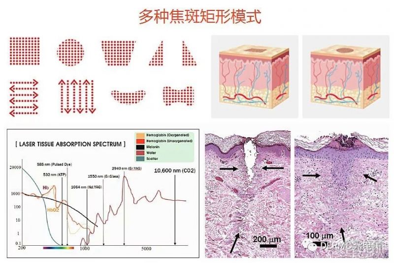 https://img.miyanlife.com/mnt/timg/180611/115K61F9-2.jpg