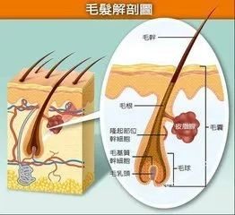 案例图片