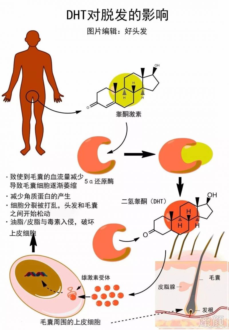 https://img.miyanlife.com/mnt/timg/180612/1222534W0-1.jpg