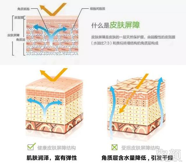 案例图片