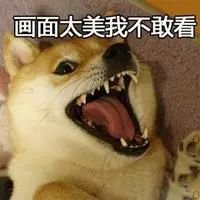 https://img.miyanlife.com/mnt/timg/180617/125943J51-0.jpg