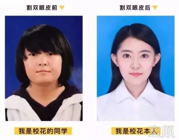 https://img.miyanlife.com/mnt/timg/180617/13000C540-7.jpg