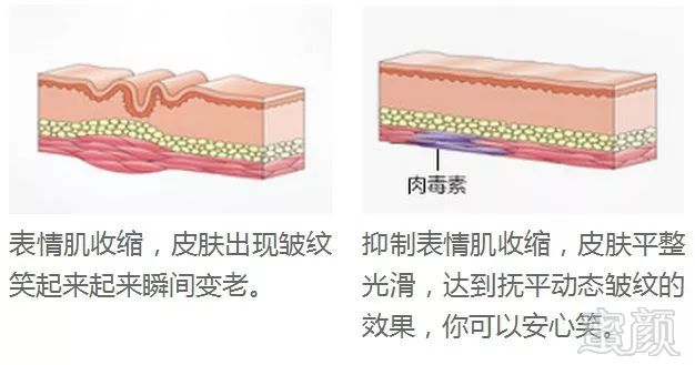 案例图片