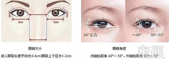 https://img.miyanlife.com/mnt/timg/180619/1126236339-2.jpg