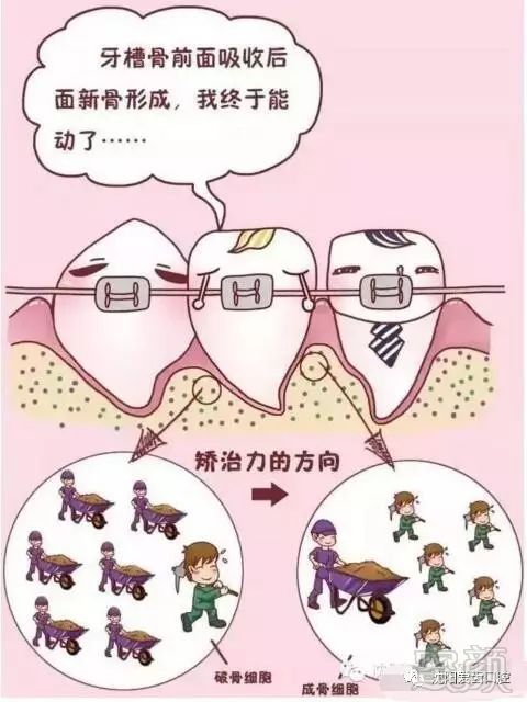 案例图片