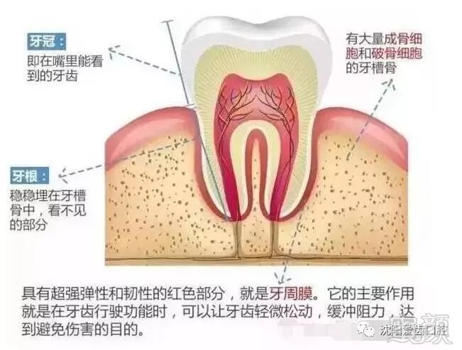 案例图片