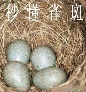 https://img.miyanlife.com/mnt/timg/180620/11444021K-3.jpg