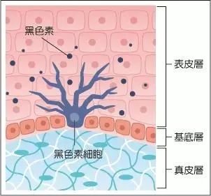 https://img.miyanlife.com/mnt/timg/180620/11444112F-8.jpg