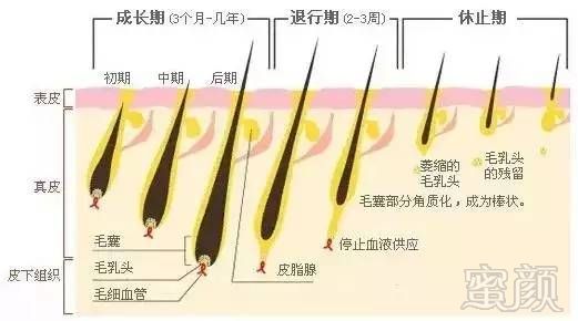 案例图片