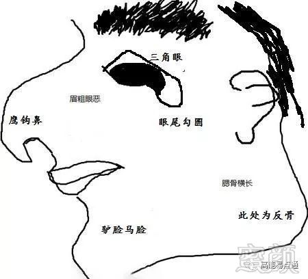 案例图片