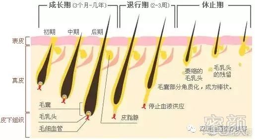 案例图片