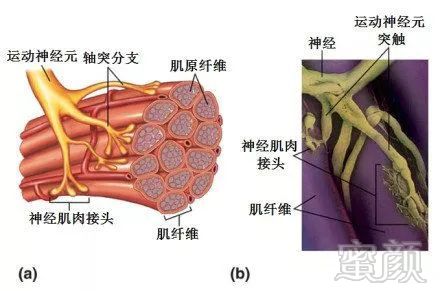 案例图片