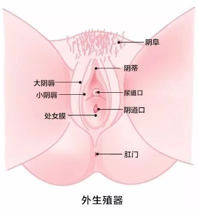 案例图片