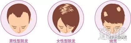https://img.miyanlife.com/mnt/timg/180623/145145DU-11.jpg