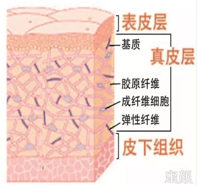 案例图片