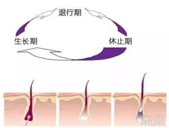 https://img.miyanlife.com/mnt/timg/180625/110143J29-0.jpg