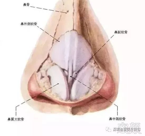 案例图片