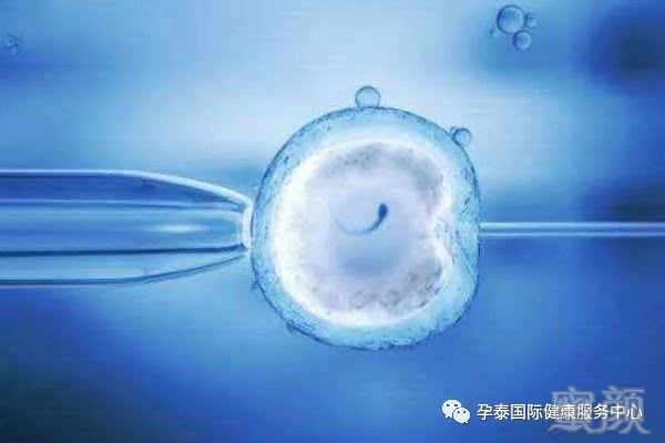 https://img.miyanlife.com/mnt/timg/180628/111G4CQ-0.jpg