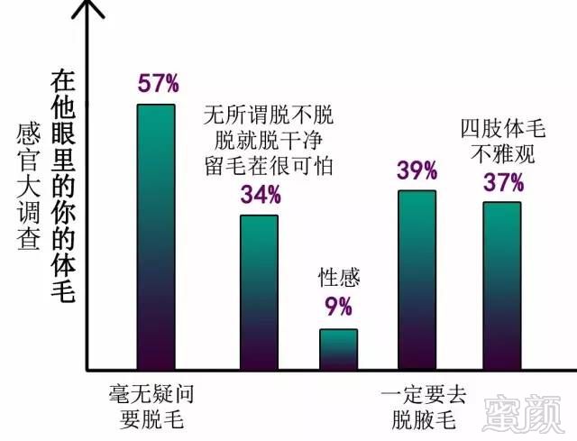 案例图片