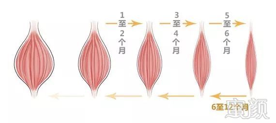 https://img.miyanlife.com/mnt/timg/180629/113T01N1-2.jpg