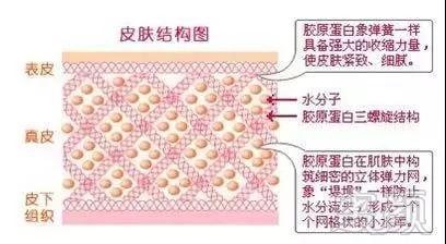 案例图片