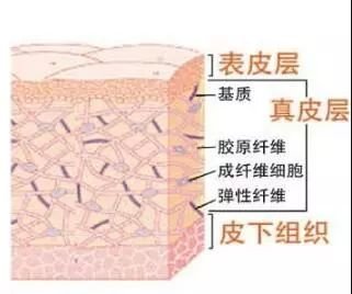 案例图片