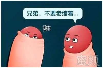 案例图片