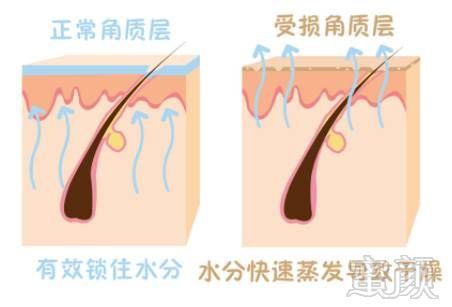 案例图片