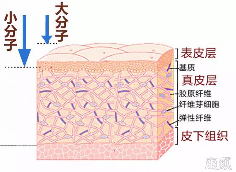 https://img.miyanlife.com/mnt/timg/180703/1125411109-6.jpg