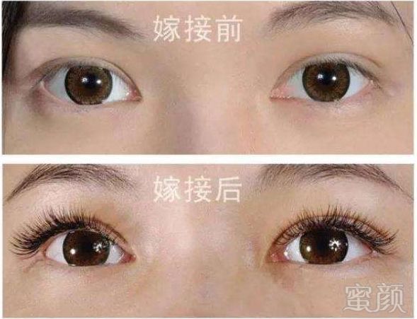 https://img.miyanlife.com/mnt/timg/180703/113U61159-1.jpg