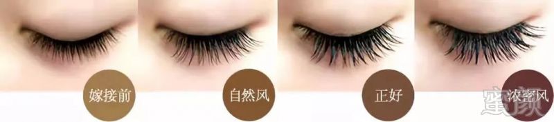 https://img.miyanlife.com/mnt/timg/180703/113Z03U0-4.jpg