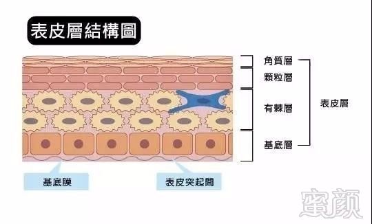 案例图片