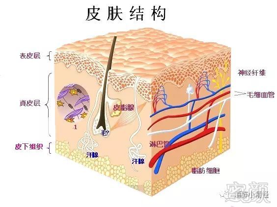 https://img.miyanlife.com/mnt/timg/180704/115U1J20-2.jpg