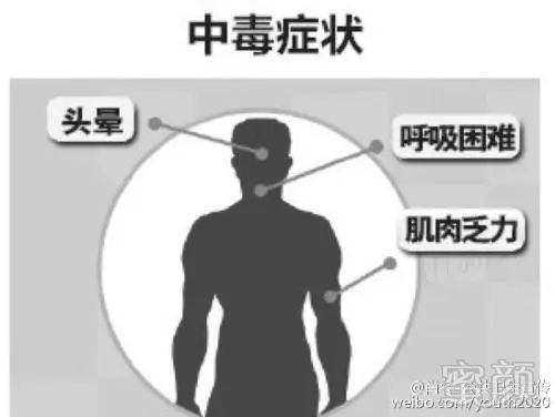 https://img.miyanlife.com/mnt/timg/180704/120644GN-4.jpg