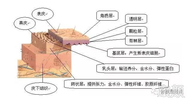 案例图片