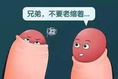 案例图片