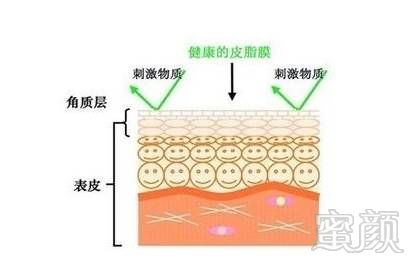 案例图片