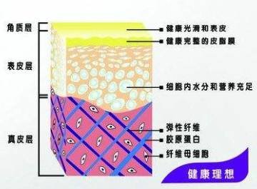 案例图片