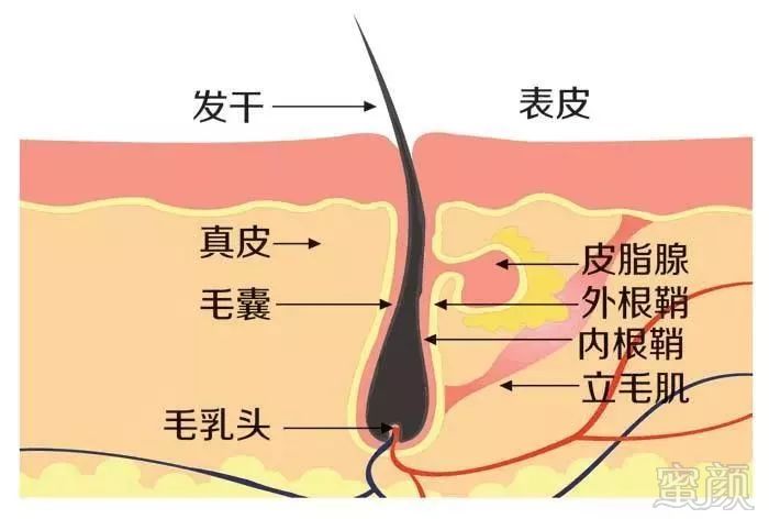 案例图片