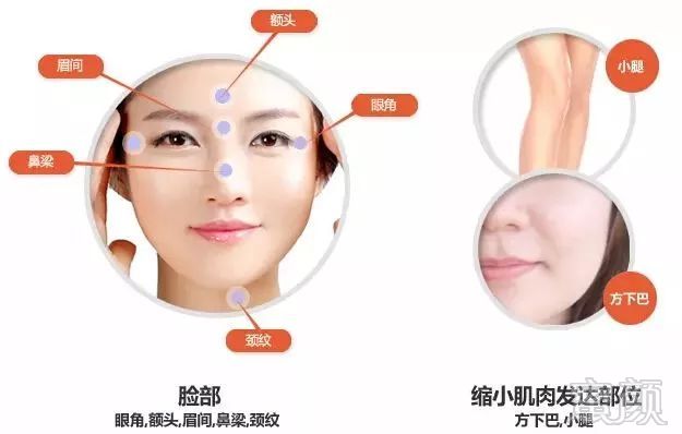 https://img.miyanlife.com/mnt/timg/180707/115AM353-0.jpg