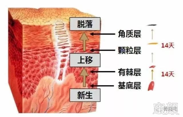 案例图片