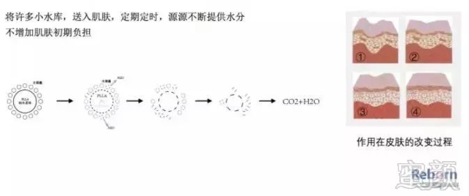 案例图片